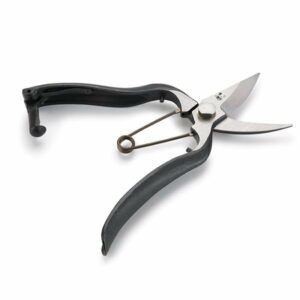 Koshiji Forged Flower Shears -  185mm