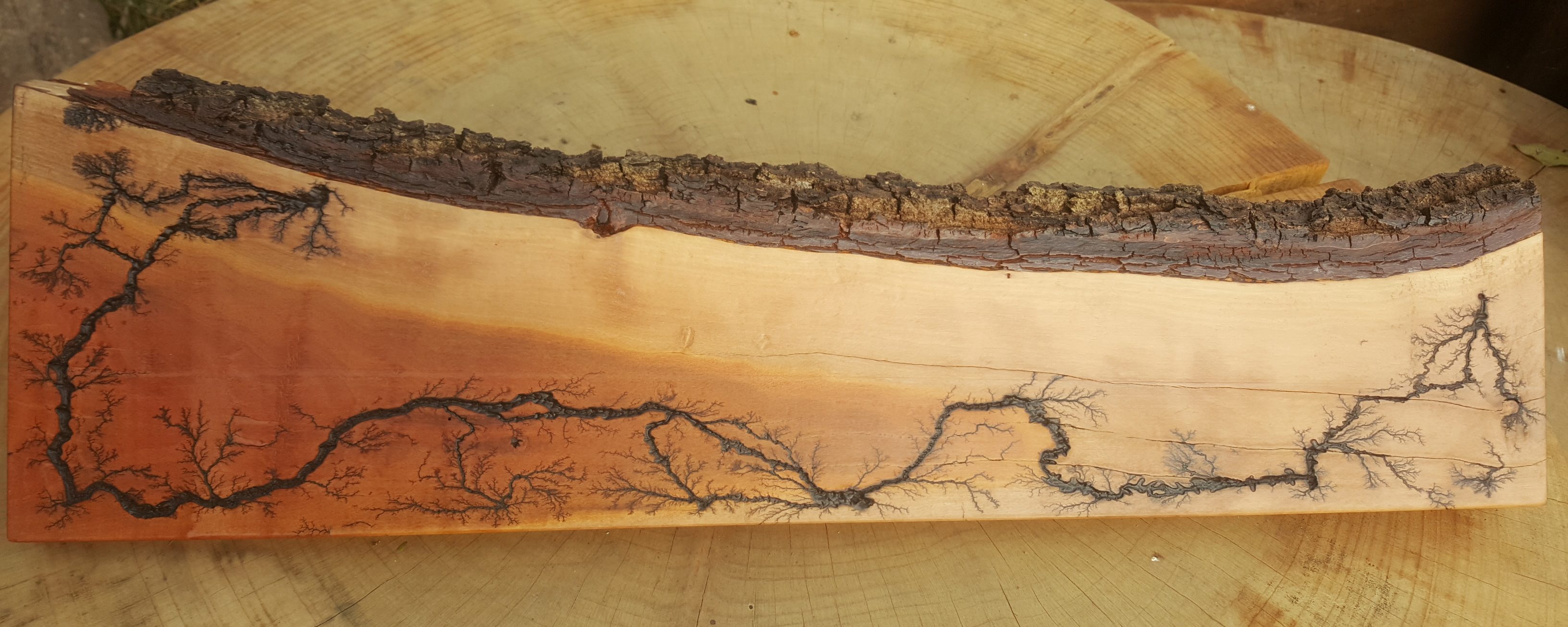 Competition Entry: Lichtenberg Fractal Burning